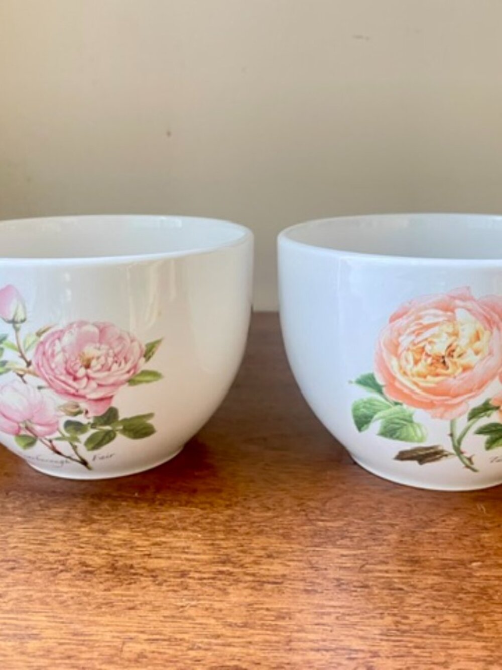 PORTMEIRION BOTANIC GARDEN Rose theme Vanessa Bell & Scarborough Fair Bowls x2